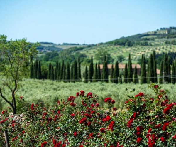 Giardino attrezzato nel Parco dei Lecci a Tenuta Il Cicalino