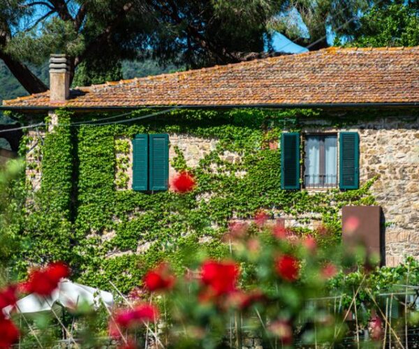 Appartamento nel Parco dei Lecci con vista su Massa Marittima