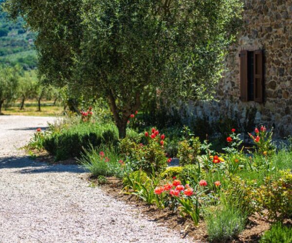 Vista panoramica dalla Tenuta Il Cicalino sulla Maremma