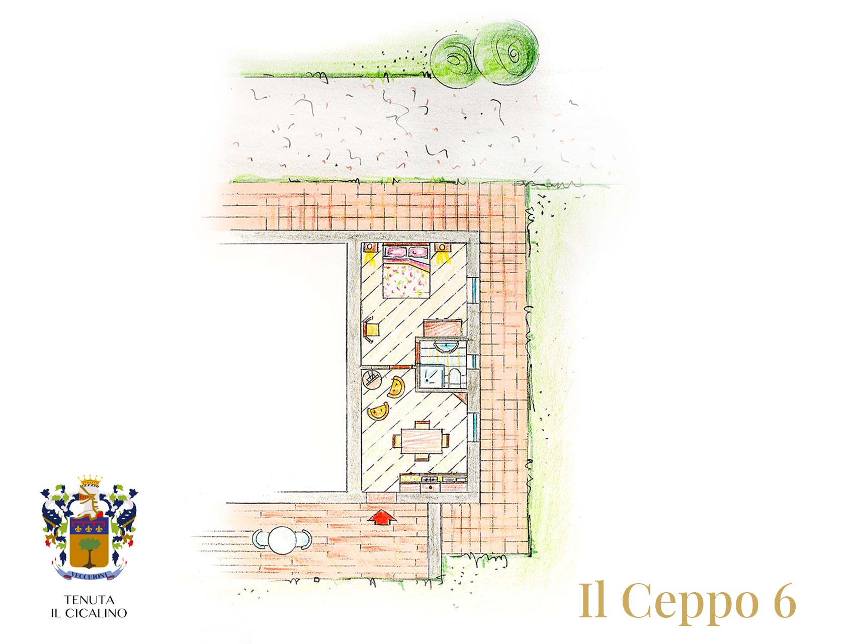 Il_ceppo_6
