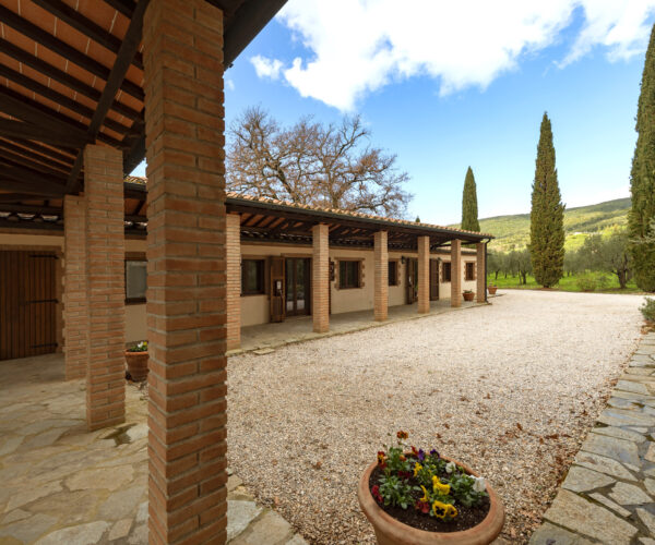 Appartamenti Cicalino nel cuore della Maremma Toscana