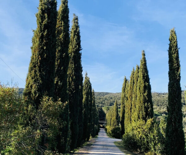 Giardino attrezzato al Podernovo nella Maremma Toscana