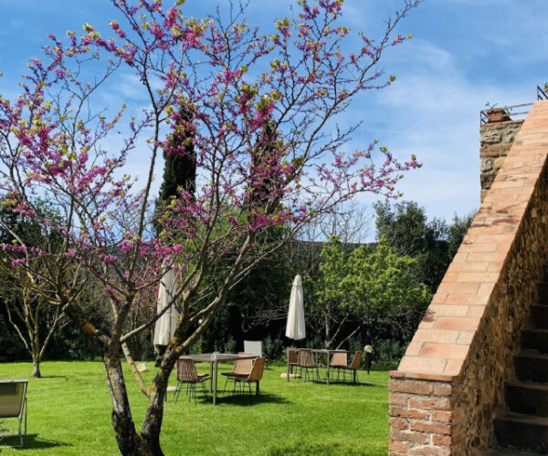 Giardino attrezzato al Podernovo nella Maremma Toscana