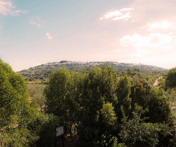 Podere Ceppo nella Maremma Toscana